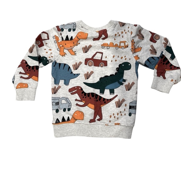 Toddler Boys Long Sleeve Dino & Animal Sweatshirt Bundle 5T - Picture 3 of 11